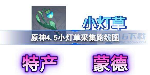 原神4.5小灯草采集路线图