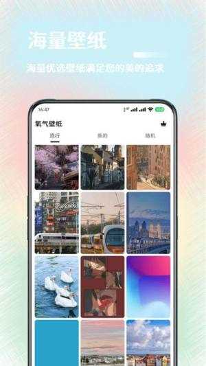 氧气壁纸APP(3)