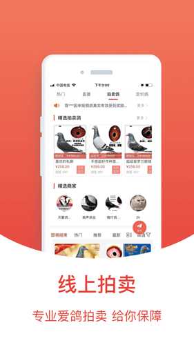 搜鸽天下app 搜鸽天下app