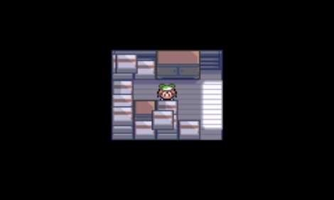 口袋妖怪神兽领域中文版(2)