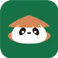 国风起APP