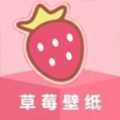 草莓壁纸大全APP
