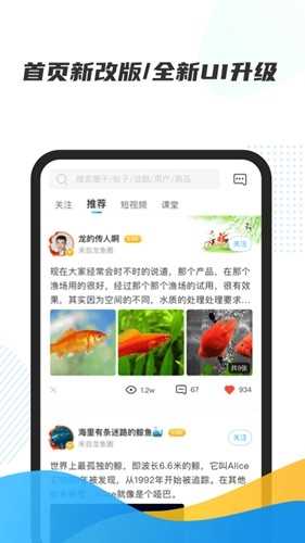 龙巅app