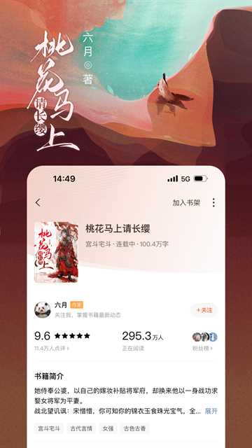 番茄小说软件(4)