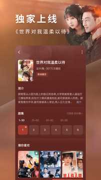 红果免费短剧安卓版(4)