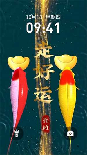 快闪壁纸 快闪壁纸